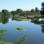 L'Arroux